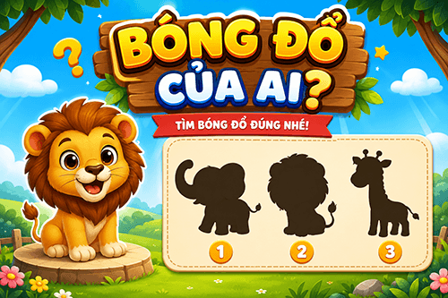 Bóng Đổ Của Ai